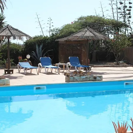 Apartment Comfortable 1-bed In Parque Holandes