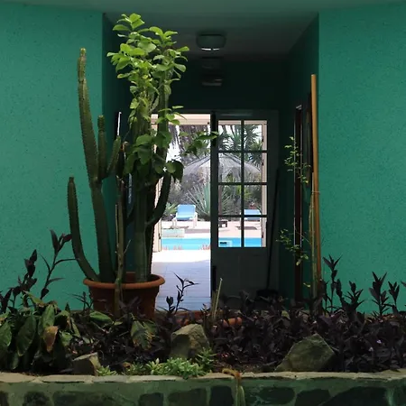 Διαμέρισμα Comfortable 1-bed In Parque Holandes La Oliva